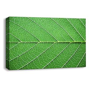 Canvas Wall Art Leaf Veins Pictures Home Wall Decorations for Bedroom Living Room Paintings Canvas Prints Framed - 12x18 inches