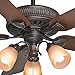 Casablanca Ainsworth Indoor Ceiling Fan with Lights and Pull Chain Control