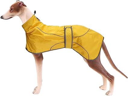 Whippet rain jacket Outlet