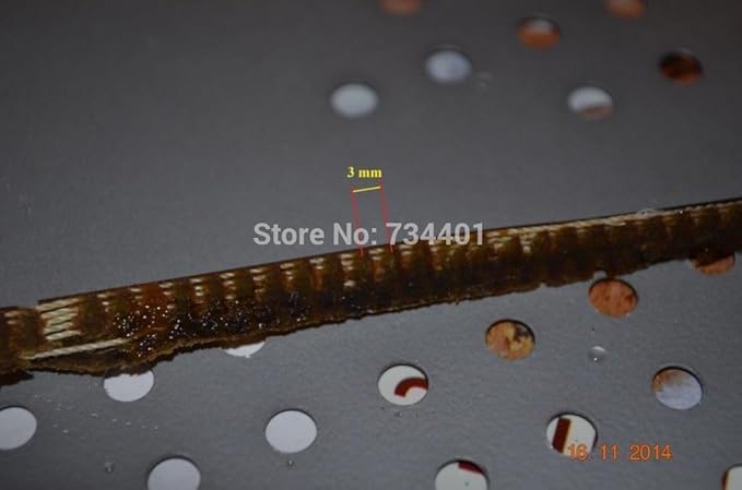 Amazon.com: Envío gratuito/varias marcas de pan máquina ...