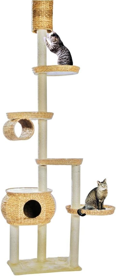 Silvio Design Arbre A Chat Haut Cestino Amazon Fr Animalerie