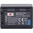 DSTE Replacement for VW-VBK180 Li-ion Battery Compatible Panasonic SDR-H100 H101 HC-V500 V700 HDC-HS80 SD90 TM80 TM90 Camera as VW-VBL090