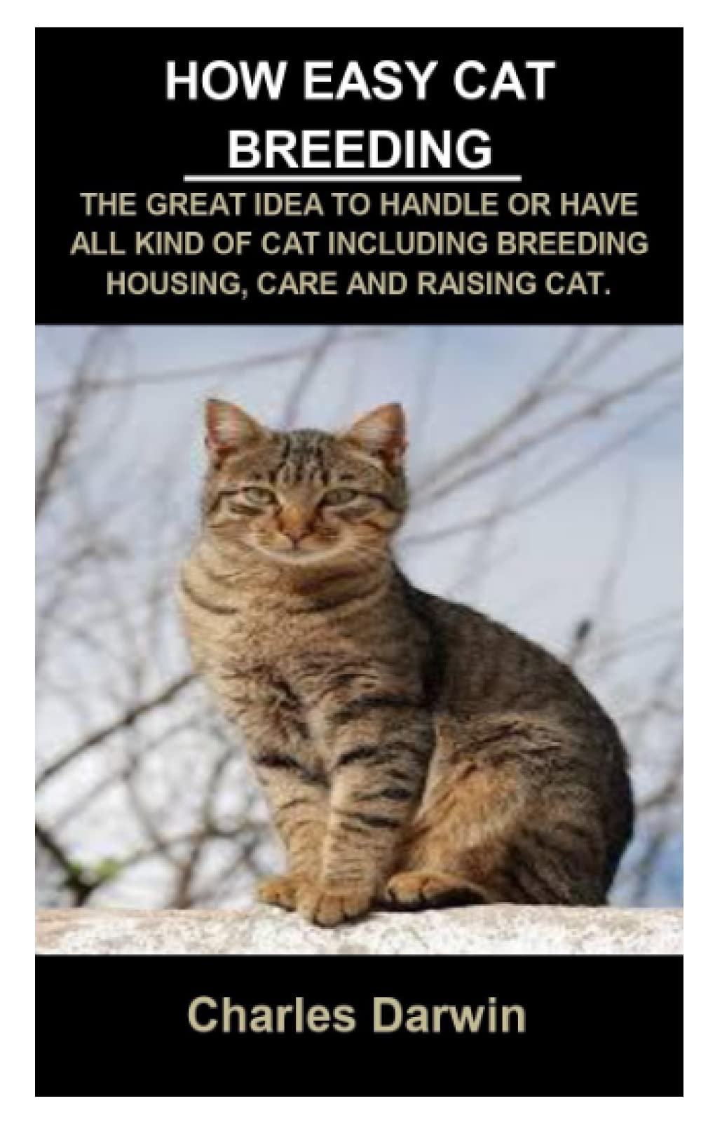 How Easy Cat Breeding How Easy Cat Breeding The Great Idea To Handle Or Have All Kind Of Cat Including Breeding Housing Care And Raising Cat Drawin Charles Amazon Com Books