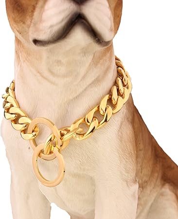gold plated dog collar