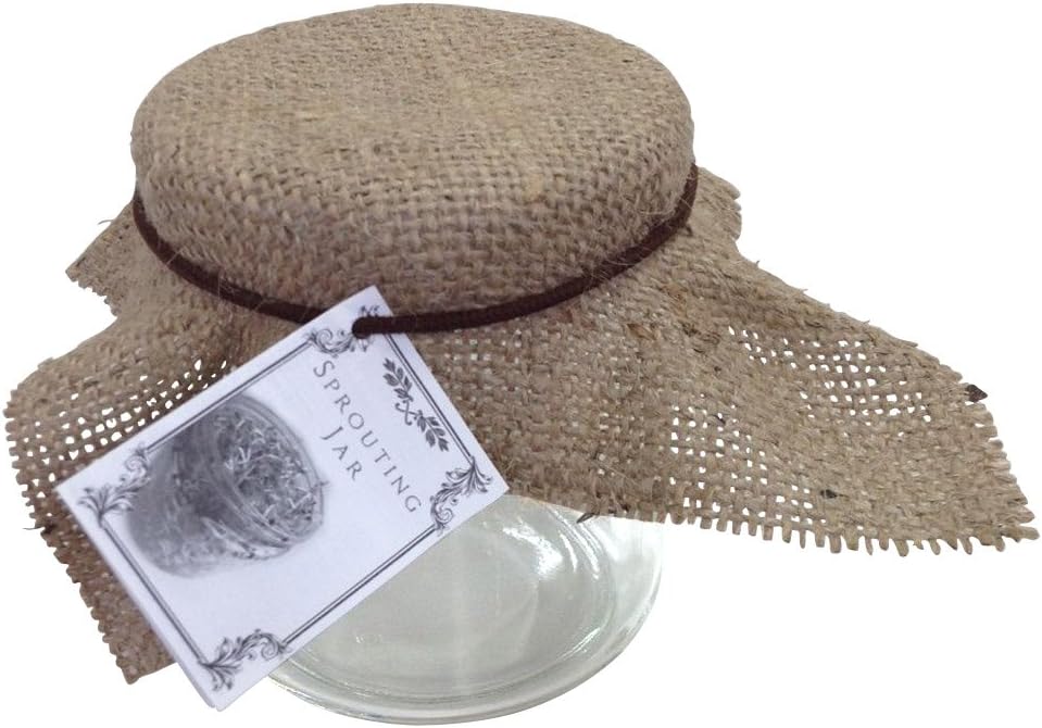 Amazon グリーンフィールド スプラウト栽培専用容器 もやしタイプ スプラウト栽培専用ジャー 容器のみ B007 鉢 プランター