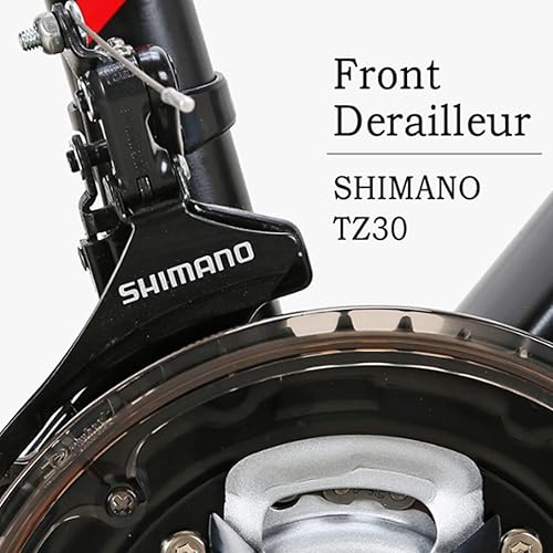 EUROBIKE Mountain Bike,Carbon Steel Frame, 29 Inch Wheels, 21