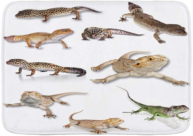 ADONINELP Felpudo Alfombras de baño,Imagen de la Familia Gecko Leopardo