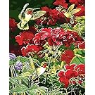 Prime Leader Frameless Diy Oil Painting, Paint by Number Kit 16x20 inch-Hummingbird and flowers