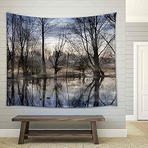 Mist on The Water in De Bourgoyen Nature Reserve Near Ghent, Belgium - Fabric Wall Tapestry Home Decor - 51x60 inches