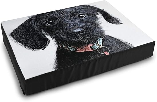 Amazon 犬用ベッドマット 採用されるのを待っているかわいい子犬のメゾチントイラスト ミニチュアシュナウザー 雑種犬 防水 速乾 介護 洗える 再使用可能 おしっこパッド 犬 猫 ペットシーツ 38x50 5 Cm ピアノ ベッドマット 通販 Amazon 犬用ベッドマット 採用されるのを待っているかわいい子犬のメゾチントイラスト ミニチュアシュナウザー 雑種犬 防水 速乾 介護 洗える 再使用可能 おしっこパッド 犬 猫 ペットシーツ 38x50 5 Cm ピアノ ベッドマット 通販