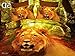 3 Piece Set Lion King 3d Print Soft Comforter Set (021) (Queen)