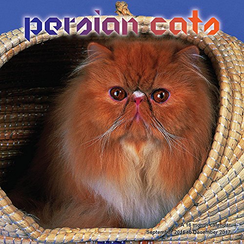 Persian Cat Calendar - 2017 Wall Calendars - Calendar 2016 - Cat Calendars - Kitten Calendar - Monthly Wall Calendar by Magnum