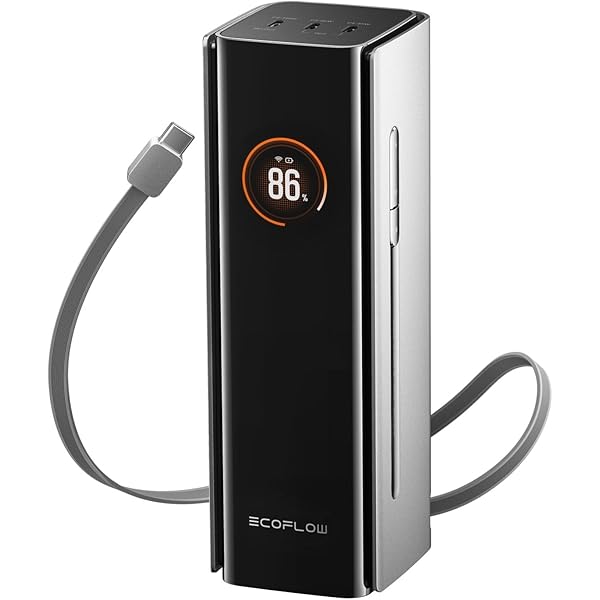 Amazon.com: EF ECOFLOW Rapid Power Bank 25,000mAh, 170W Portable