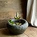 Top Collection Garden Frog Meditating On Large Functional Stone Flower Pot Planter Figurine