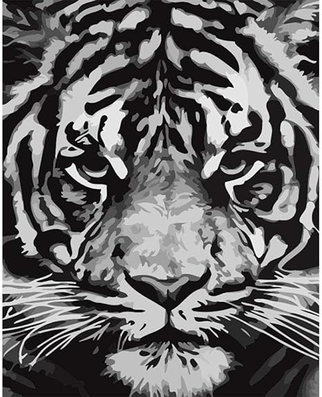 Amazon Co Jp ペイントby Numberキットpaintworks Diy油絵子供と大人 ブ 黒と白の虎の頭 油絵 数字キット塗り絵 手塗り ホーム キッチン
