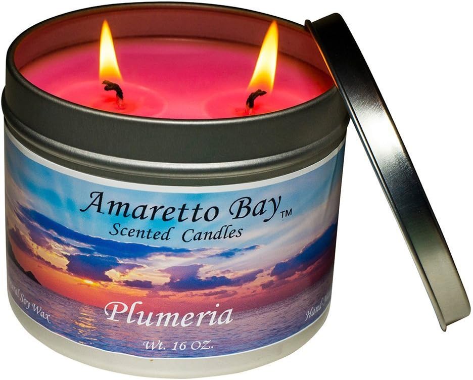 Amaretto Bay Soy Wax Scented Candles 16oz Aromatherapy Travel Tin (Plumeria, Tropical)