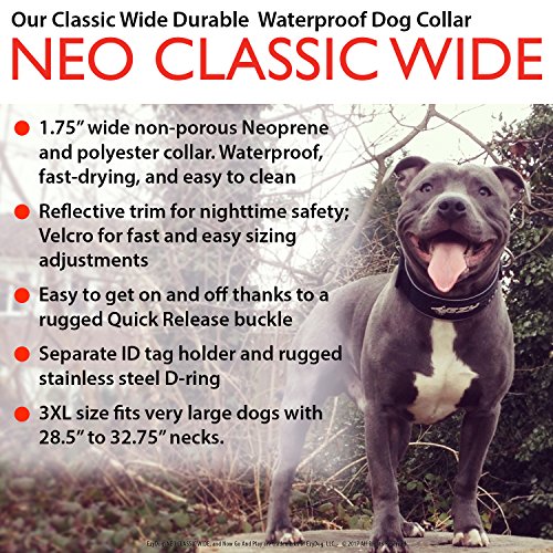 EzyDog Neo Classic Wide Neoprene No Stink Waterproof Dog Collar for