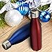 KING DO WAY Double Wall Vacuum Insulated Stainless Steel Water Bottle, 17 oz - Red