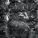 LANGRIA Luxury Super Soft Faux Fur Fleece Throw Blanket Cozy Warm Breathable Lightweight and Machine Washable Dyed Fabric for All Seasons – Decorative Throw for Couch Bed (60x80, Twin Size Black)