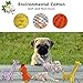 Best Dog Rope Toys Set - Braided Animal Puppy Chew Toy Dental Health Teeth Cleaning for Small / Medium-sized Dog, Pack of 5 by EXPAWLORER