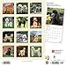 Poodles 2020 12 x 12 Inch Monthly Square Wall Calendar with Foil Stamped Cover, Animals Dog Breeds