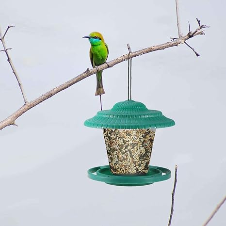 Amazon Com Hanging Wild Bird Feeder With Adjustable Dome Cover