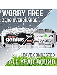 Cargador de batería inteligente Pro Series UltraSafe, Gris