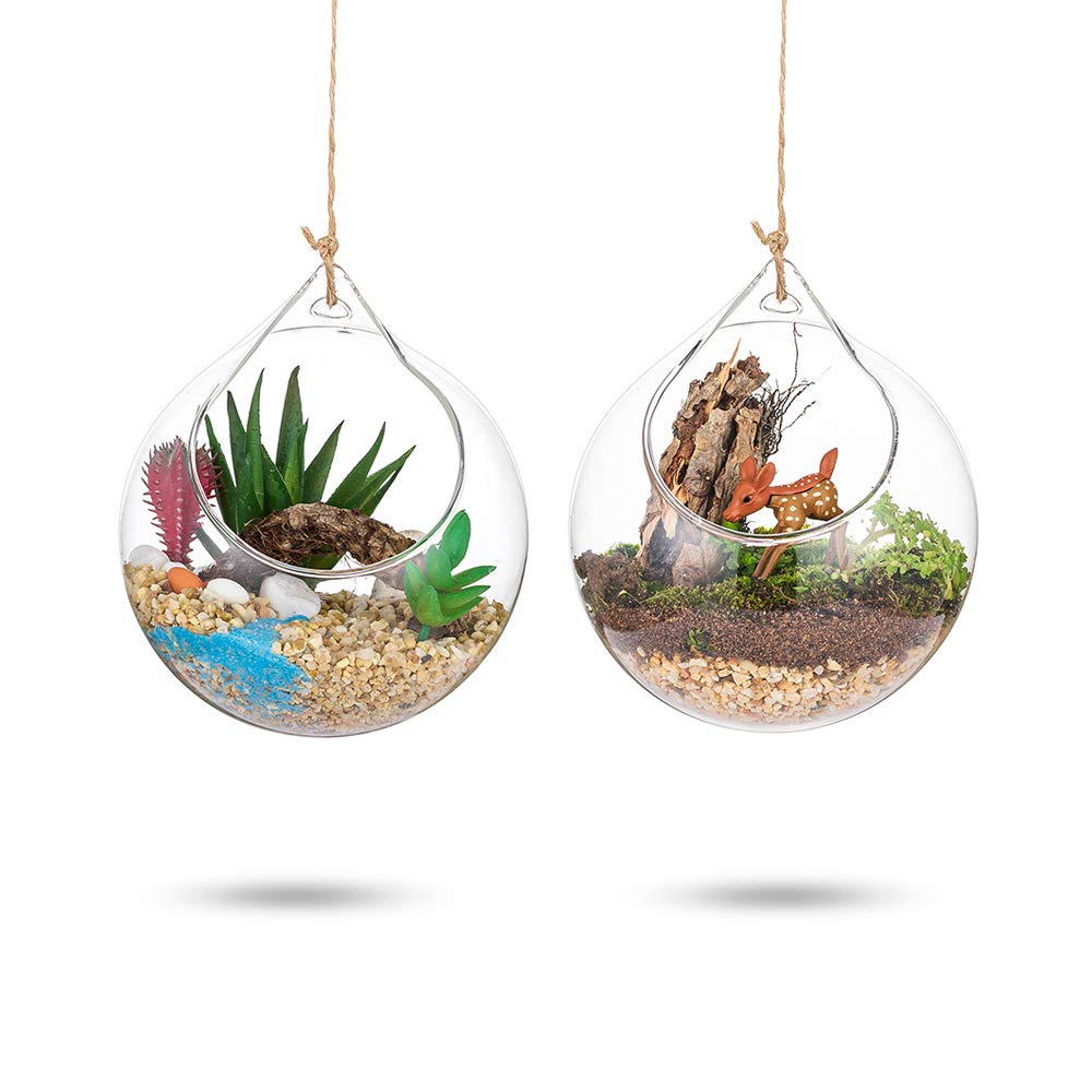Hanging Glass Globes Terrarium Succulents Orbs 2 Pcs Glass Planter Big Opening Air Fern Plants Vase Hanger 4 Inches for Home Party Wedding Garden DIY Design