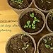 EasyStart Kitchen Garden Herbs - Organic Herb Kit - Everything you need to start 6 organic kitchen herbs