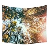 Fenta Trees Forest Pattern Nature Senery Wall Hanging Tapestry