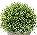 Leyaron Mini Plastic Fake Green Grass Small Artificial Potted Plants for Home Decor and Office