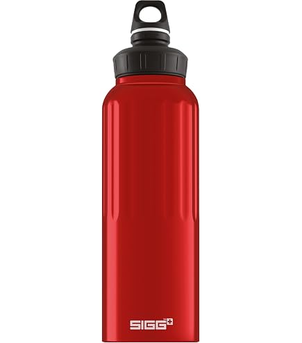 Amazon.com : Sigg - Metal Water Bottle - Original - Made in
