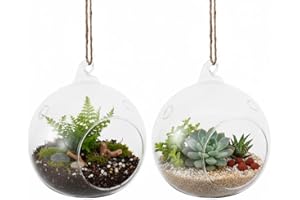 SUPVOX Glass Hanging Vase: 2-Pack Transparent Hand-Blown Terrarium Planter for Indoor Garden Balcony Home Decor High Borosili