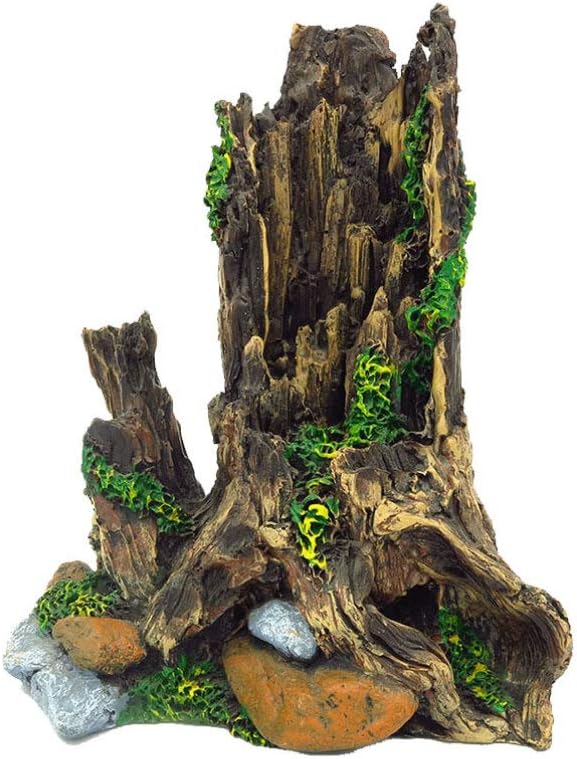 mini landscape rock aquarium