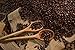 Blackwelder Coffee, 100% Arabica Espresso Whole Bean Coffee, Fresh Roasted Coffee Beans 32oz (2lb) Bag | Rich Taste, Perfect Crema Finish