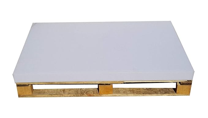 Palettenkissen, Palettensofa, Palettenpolster, Matratzenkissen (120x80x8cm) Schaumstoff für Europalette, Hundekissen, Auflage