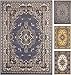 Home Dynamix Premium Sakarya Traditional Medallion Border Area Rug, Country Blue, 21