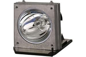 GOLDENRIVER BL-FP200C SP.85S01GC01 Original Projector Lamp with Housing Compatible with OPTOMA HD32 HD70 HD7000