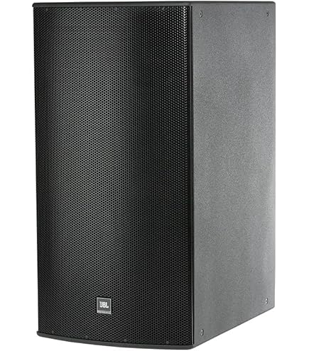 Amazon.com: JBL Professional ASB6125 Dual High-Power 15-Inch