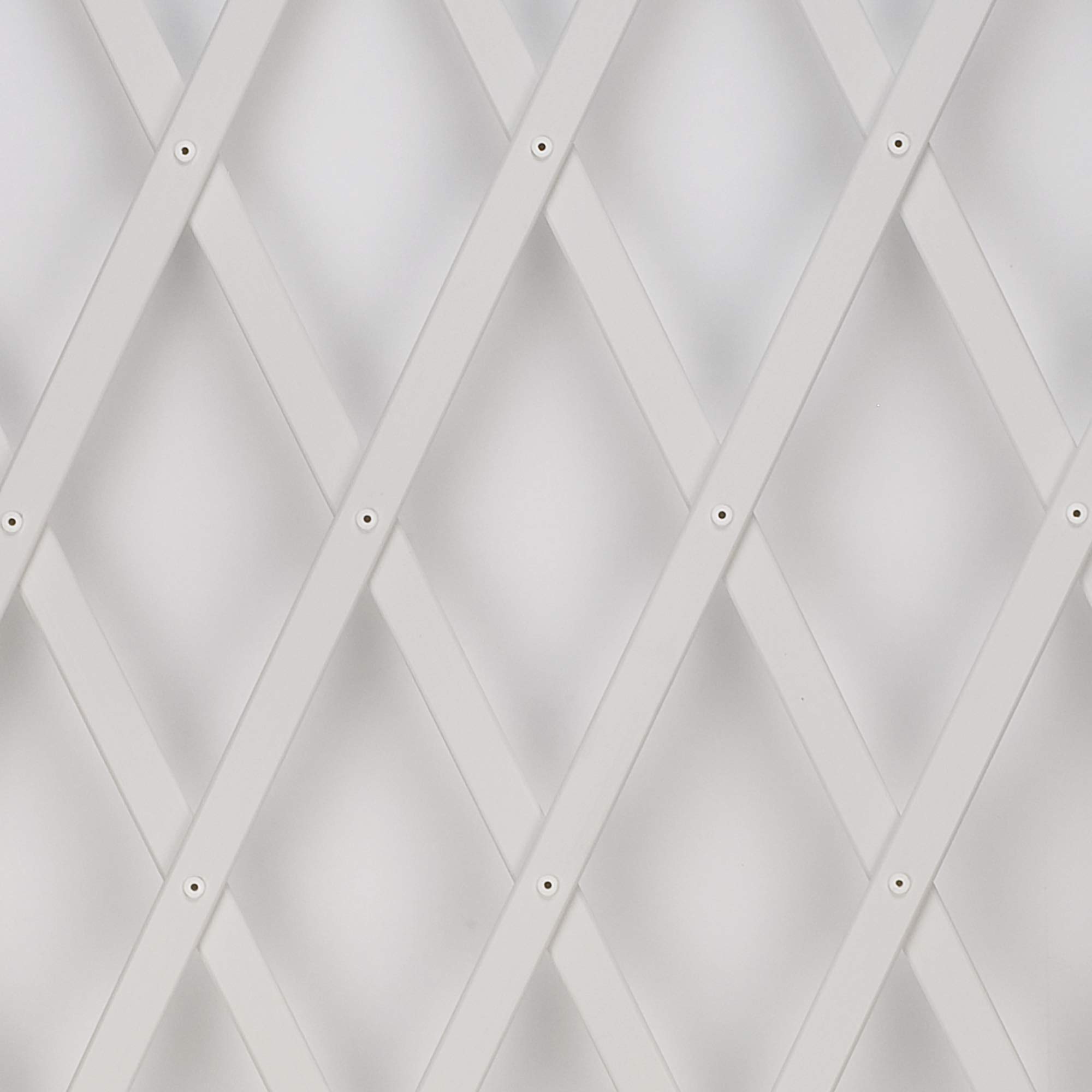 Trepls Extendable PVC Trellis 1,00x2 m Bianco