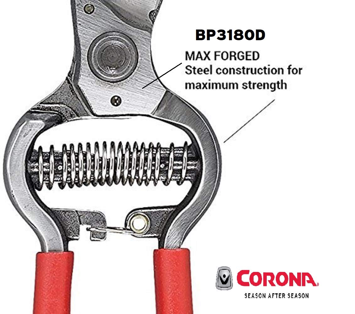 Corona BP 3180D Classic Bypass Pruner with 1 Inch Cutting