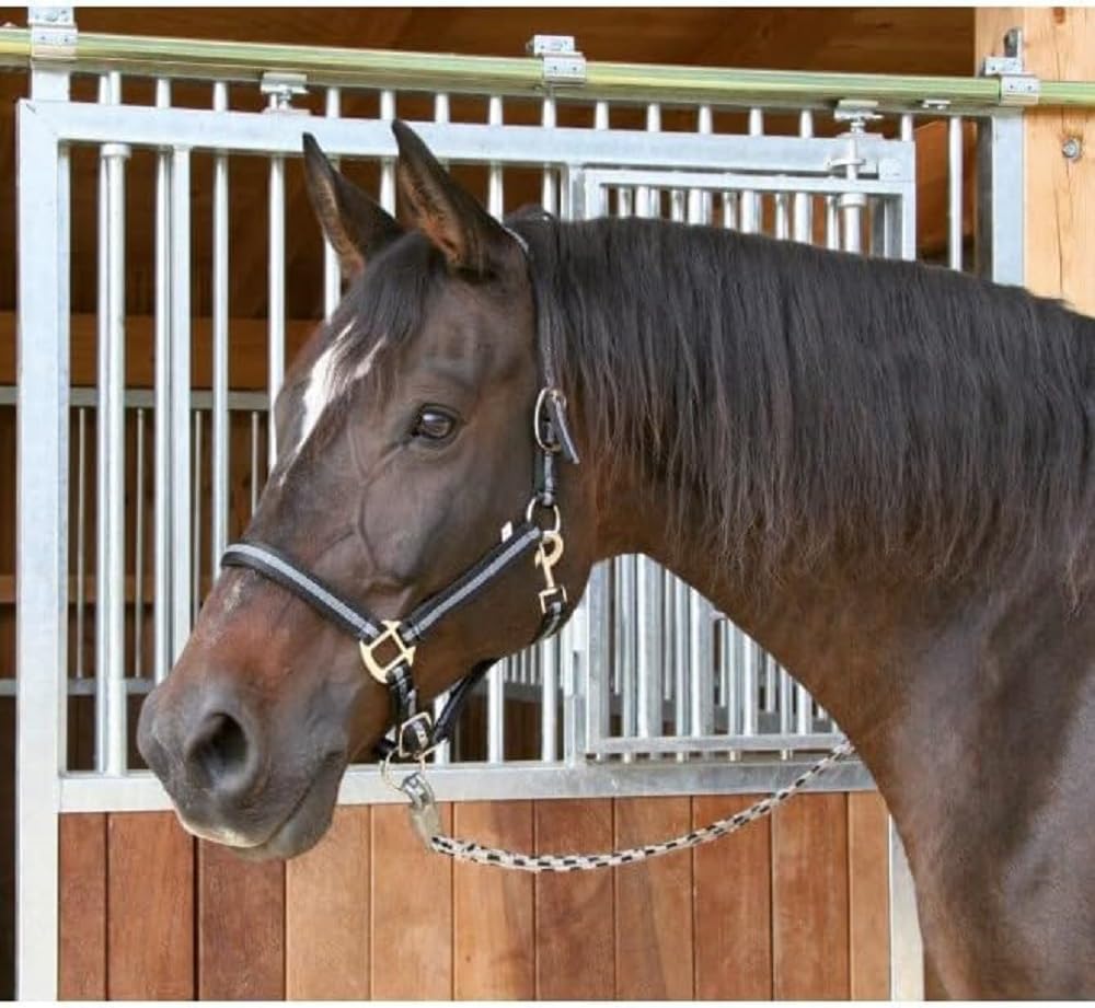 Kerbl Mustang Head Collar - Black/Silver, Size 3