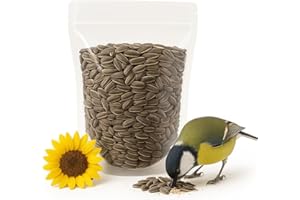Crazy Nuts | USA Grown Raw Sunflower Seeds in Shell, 1lb | Unsalted Sunflower Seeds for Birds and for Eating