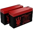 Neptune Power Replacement Battery for - CSB HR1224W F2F1 (2 Pack)