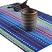 WOOD MEETS COLOR Cotton Table Placemats Woven Braided Ribbed Washable Table Mats Set of 4, 12