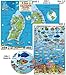 San Salvador Island Bahamas Dive Map & Reef Creatures Guide Franko Maps Laminated Fish Card by 