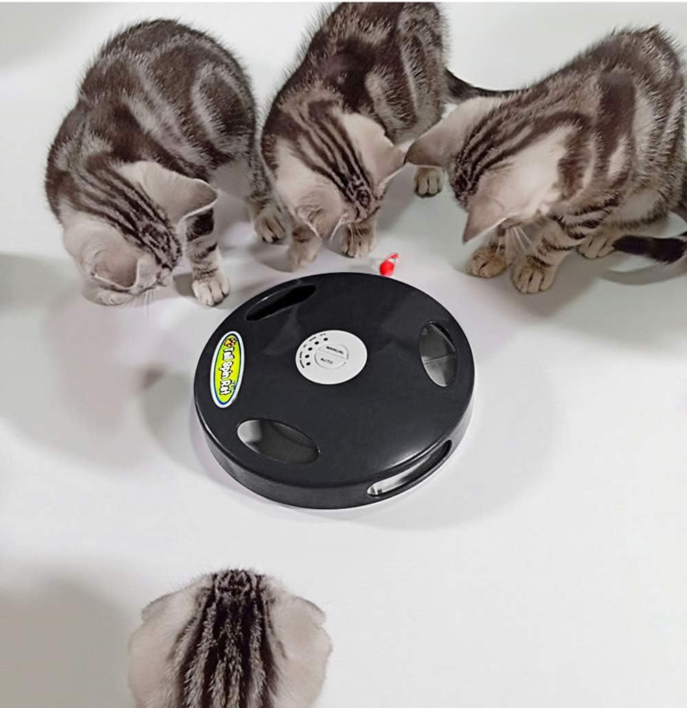 PetDroid Interactive Cat Toy,Rechargeable Cat Toys for Indoor Cats,Chase Toys for Kitten
