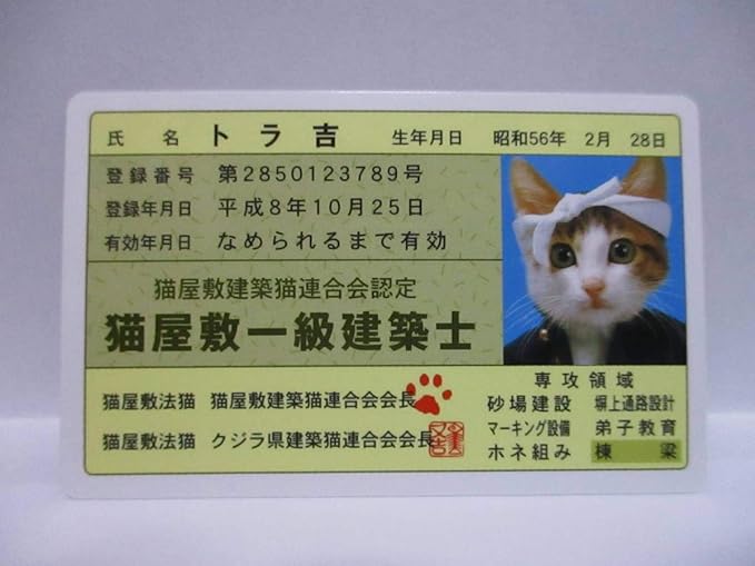Amazon Co Jp なめ猫 なめんなよ 猫屋敷一級建築士 トラ吉 猫屋敷一級建築士証 ホビー 通販