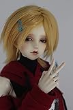 1/3 BJD 9-10 Inch Doll Wig High Temperature