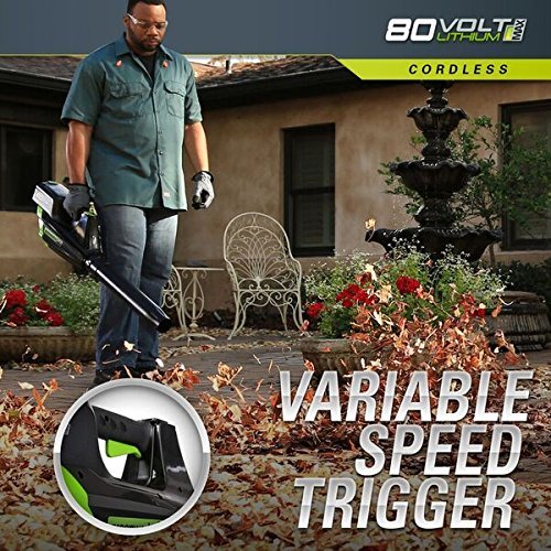 Greenworks PRO 80V Cordless String Trimmer & Blower Combo, 2.0 AH Battery Included STBA80L210
